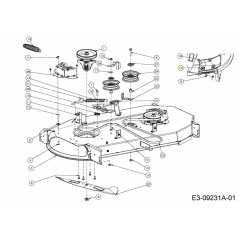 BFL:DIS 731-10629A MONTÉ ORIGINAL | Newgardenstore.eu