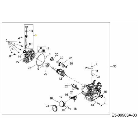 ASTINA DI LIVELLO COMPLETA. 651-05391 ORIGINALE MTD | Newgardenstore.eu