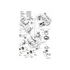 WHL:COMP:200x50:NO-BB RALENTÍ 734-04090 ORIGINAL MTD | Newgardenstore.eu