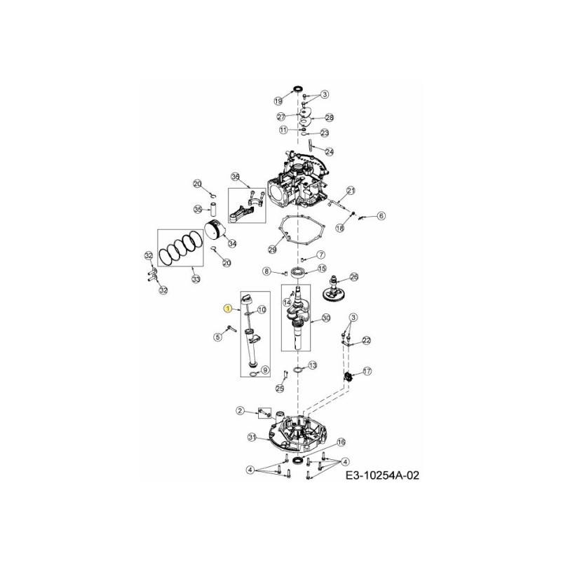 GRUPPO ASTINA DI LIVELLO OLIO 651-05438 ORIGINALE MTD