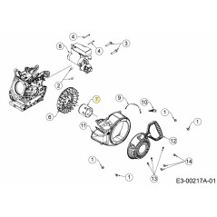 Polea de arranque 751-17166 ORIGINAL MTD | Newgardenstore.eu