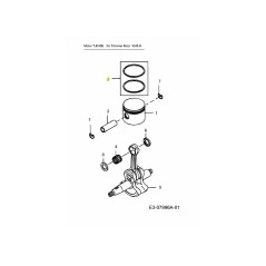 SEGMENTS DE PISTON KM-017555 ORIGINAL MTD | Newgardenstore.eu
