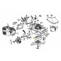 SQUILLO 079.25.260 ORIGINALE MTD SQUILLO 079.25.260 ORIGINALE MTD