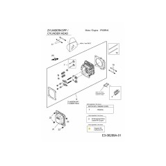 Vergaser-Reparatursatz Major 751-12681 Original MTD | Newgardenstore.eu