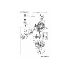 Albero a camme 619-04300 ORIGINALE MTD | Newgardenstore.eu
