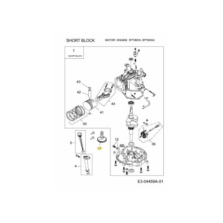 Arbre à cames 751-11631 ORIGINAL MTD | Newgardenstore.eu