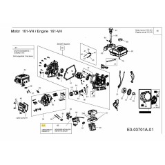 Vergaser-Reparatursatz für 161VH 751-11048 Original MTD | Newgardenstore.eu
