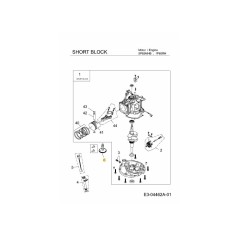 GRUPPO ALBERO A CAMME 751-11741 ORIGINALE MTD