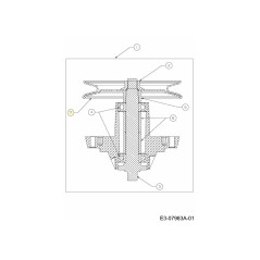 PUL:DECK:6.3 DIA 756-1227 ORIGINAL MTD | Newgardenstore.eu