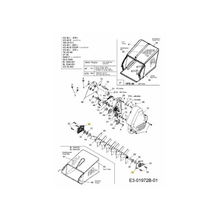 BRG ASM SHF COMPLETE 681-04018A ORIGINALE MTD | Newgardenstore.eu