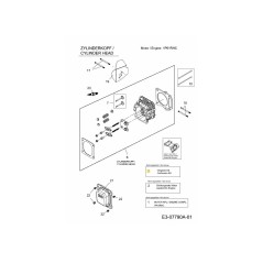Vergaser-Reparatursatz Major 751-12736 Original MTD | Newgardenstore.eu