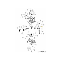 ALBERO A CAMME ASM (INGRANAGGIO IN PLASTICA) 751-18628A ORIGINALE MTD | Newgardenstore.eu