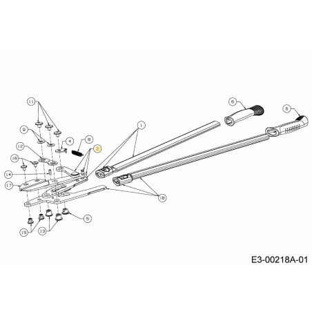 VANGUARDIA CON PADDOCK 697-01108 ORIGINAL MTD | Newgardenstore.eu