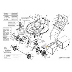 Zahnrad: 12 Zähne: RH L-30 LX SG-2046840 ORIGINAL MTD | Newgardenstore.eu