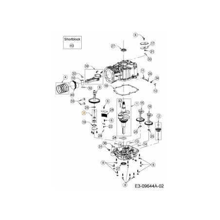 BOMBA DE ACEITE 651-05247 ORIGINAL MTD | Newgardenstore.eu