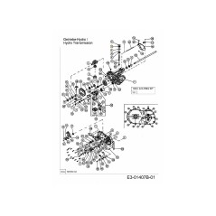 ANELLO DI TENUTA HG-51161 ORIGINALE MTD | Newgardenstore.eu