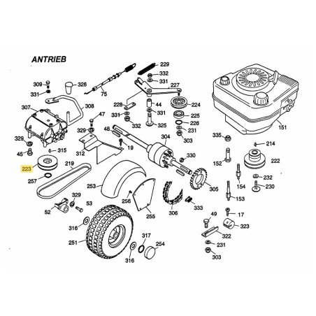 V-BELT PULLEY 6110165 ORIGINAL MTD | Newgardenstore.eu