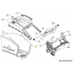 TELAIO DI RACCOLTA DELL'ERBA 647-05130637 ORIGINALE MTD | Newgardenstore.eu