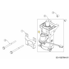 DÉMARREUR À SOLÉNOÏDE 725-09825 ORIGINAL MTD | Newgardenstore.eu
