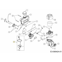 Vergaser-Reparatursatz 793-00188 Original MTD | Newgardenstore.eu