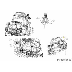 CAVO ACCELERATORE 37,5X0,75 646-00032 ORIGINALE MTD | Newgardenstore.eu