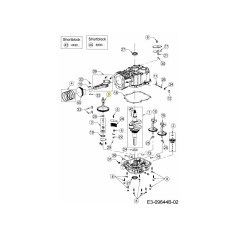 Arbre à cames 619-05216 ORIGINAL MTD | Newgardenstore.eu