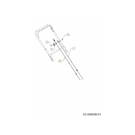 TRASMISSIONE VIA CAVO MYS 746-06192 ORIGINALE MTD | Newgardenstore.eu