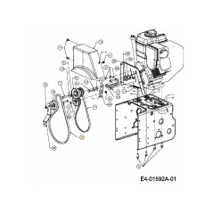 Courroie V 1/2 x 42,0 754-04131 d'origine MTD