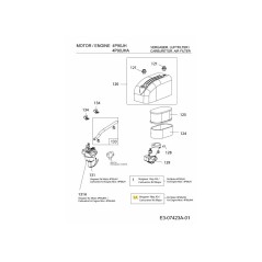 Vergaser-Reparatursatz Major 751-14179 Original MTD | Newgardenstore.eu