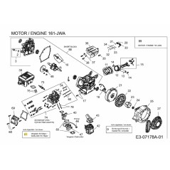 Vergaser-Reparatursatz, Major 751-10948 Original MTD | Newgardenstore.eu