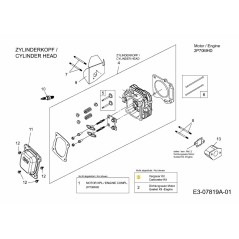 KIT DE CARBURADOR, MAYOR 751-12425A ORIGINAL MTD