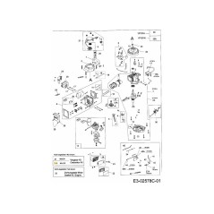Vergaser-Reparatursatz Major 751-10326 Original MTD | Newgardenstore.eu