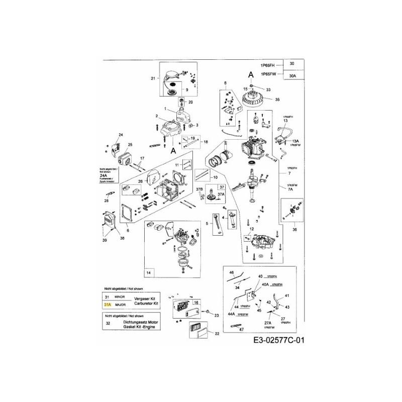 Vergaser-Reparatursatz Major 751-10325 Original MTD