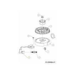 ZÜNDGERÄT 751-14598 ORIGINAL MTD | Newgardenstore.eu