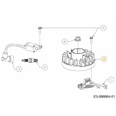 VOLANO 725-06190 ORIGINALE MTD | Newgardenstore.eu