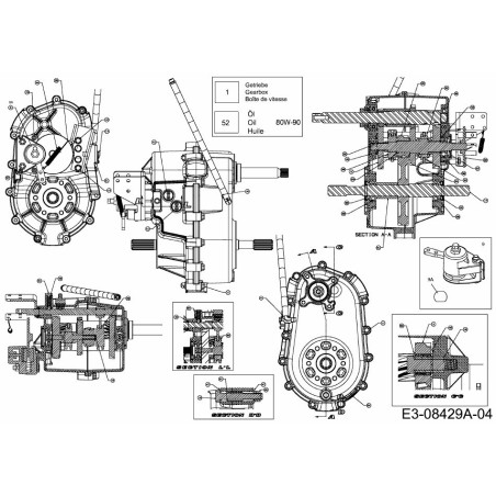 Öldichtung 25x46x7 721-04146 Original MTD | Newgardenstore.eu