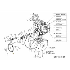 PUL:AUGR:8.1 x.5 Riemen 756-04109 Original montiert | Newgardenstore.eu