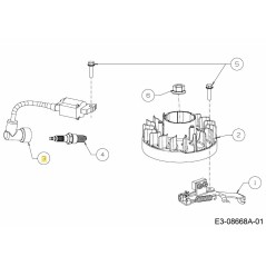 CONJUNTO DE ENCENDEDOR 725-06193 ORIGINAL MTD