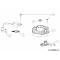 GRUPPO ACCENSIONE 725-06193 ORIGINALE MTD