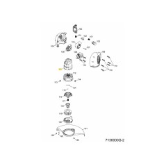 MOTEUR COMPLET. 724-04154 MTD D'ORIGINE | Newgardenstore.eu