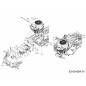 SHIELD CARB 703-09615A ORIGINAL MTD