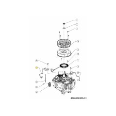 Zündspule links 751-21248 Original MTD | Newgardenstore.eu