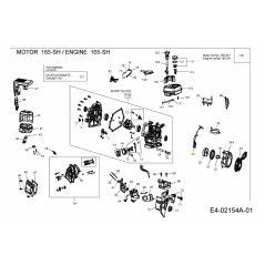 Zündspule 751-10646 Original MTD | Newgardenstore.eu
