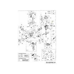 Zündspule 751-10366 Original MTD | Newgardenstore.eu