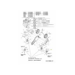 GRUPPO DENTI ESTERNO-SINISTRO 642-0005 ORIGINALE MTD
