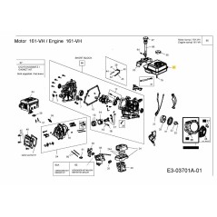 TANQUE DE COMBUSTIBLE 2 GAL 751-10920 ORIGINAL MTD | Newgardenstore.eu