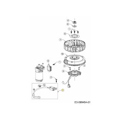 ZÜNDGERÄT 794-00128 ORIGINAL MTD | Newgardenstore.eu