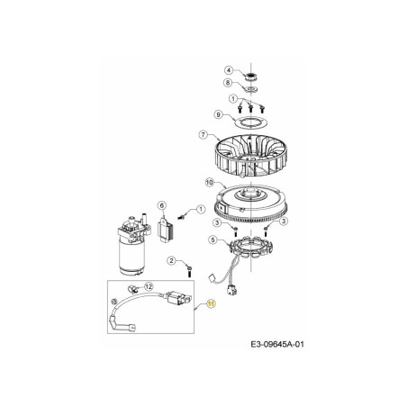 ZÜNDGERÄT 794-00128 ORIGINAL MTD | Newgardenstore.eu