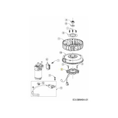 BOBINA DI RICARICA 725-06298 ORIGINALE MTD | Newgardenstore.eu