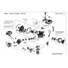 CONJUNTO DE CARBURADOR 751-10804 ORIGINAL MTD | Newgardenstore.eu